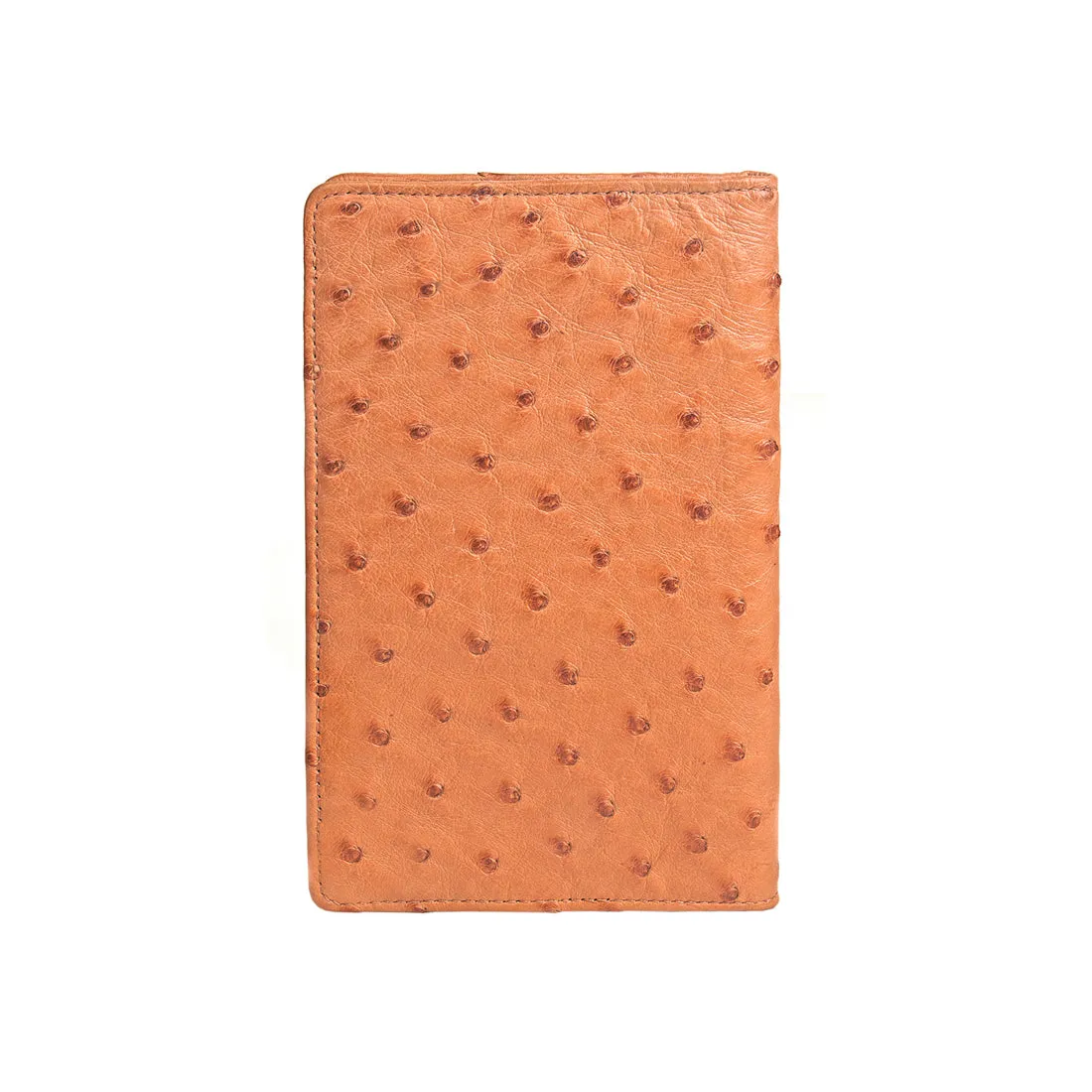 CASPIAN (RF) PASSPORT HOLDER