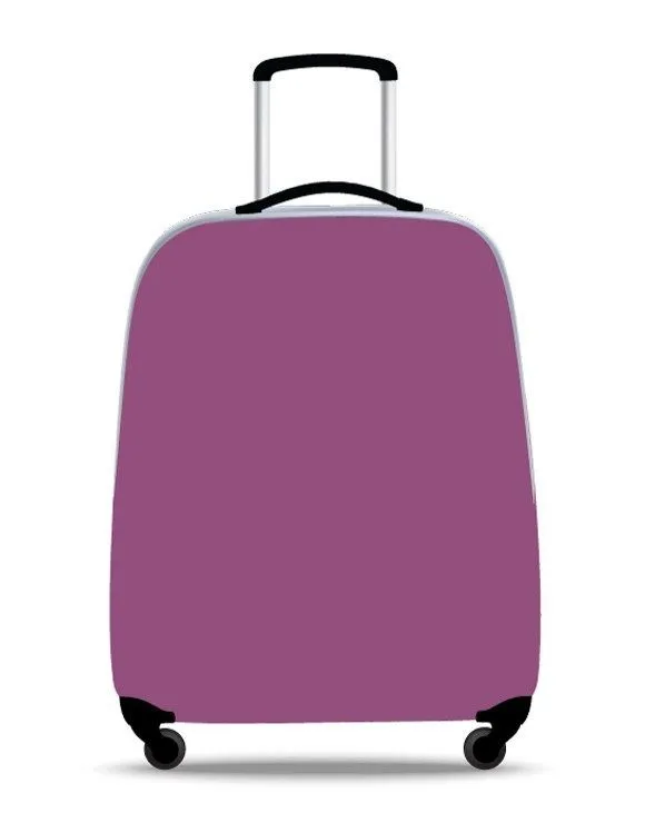 Disney - Princess Onboard Trolley Case