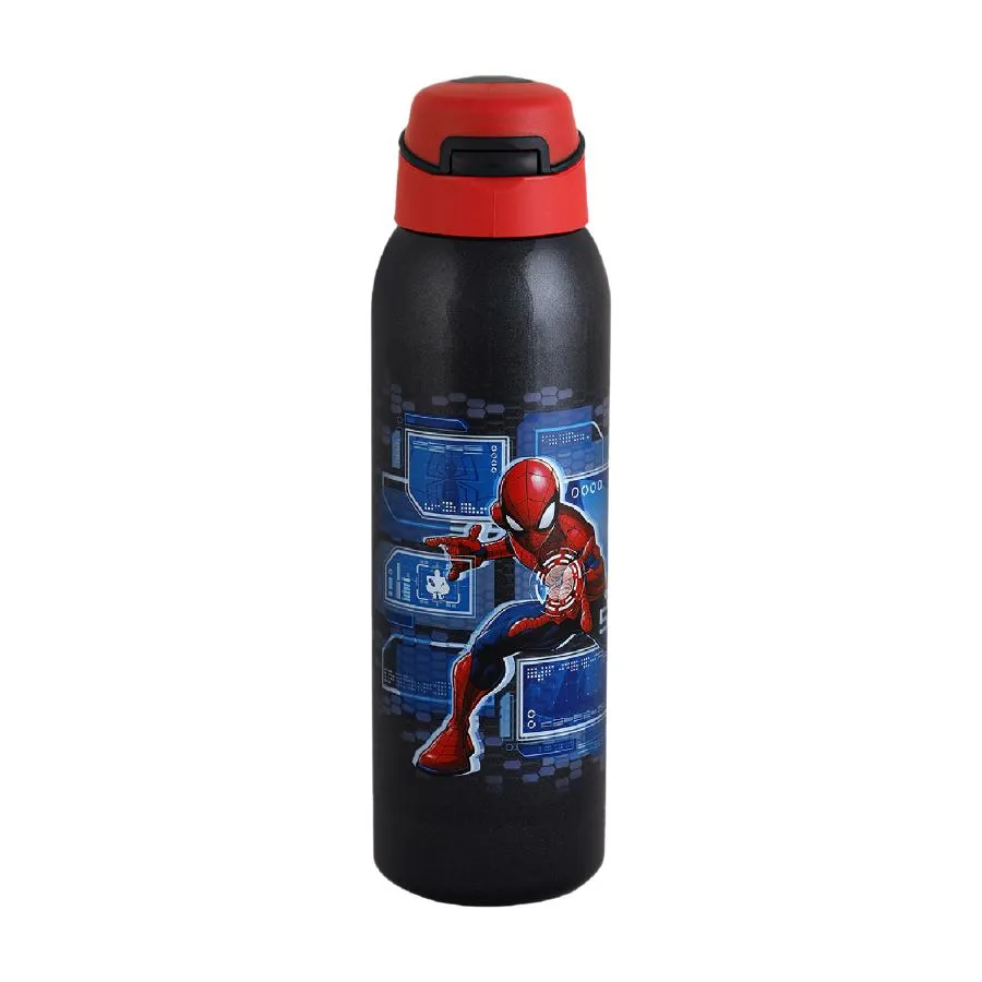 Gym-Star Toons Hot & Cold Stainless Steel Kids Water Bottle, 650ml