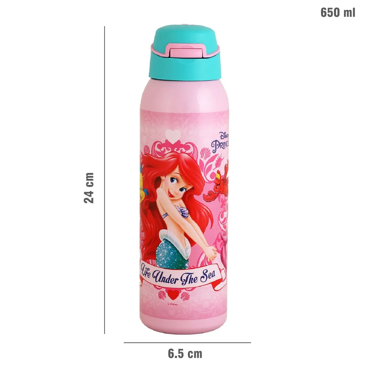 Gym-Star Toons Hot & Cold Stainless Steel Kids Water Bottle, 650ml