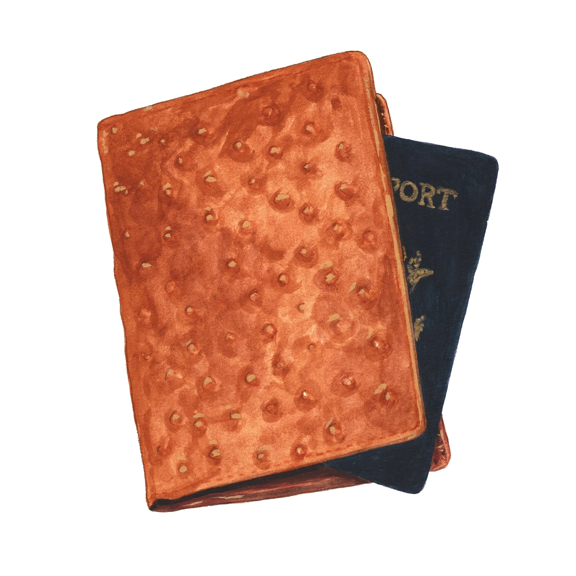 Ostrich Passport Wallet